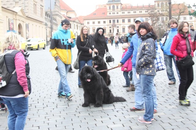 Adventní procházka Prahou