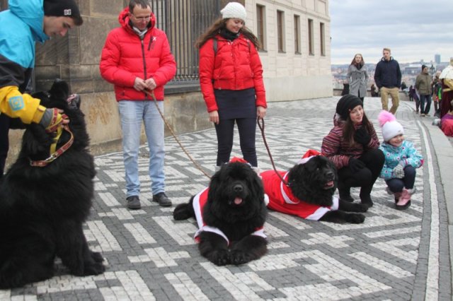 Adventní procházka Prahou