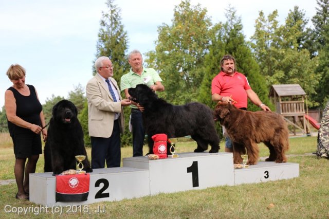 Džbán 2016 - Speciální výstava CAC 3.září 2016