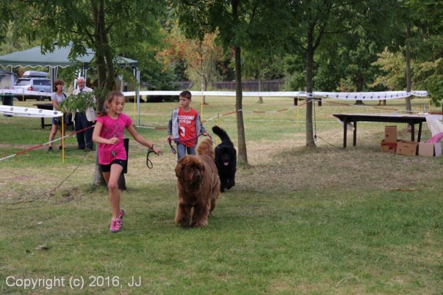 Džbán 2016 - Speciální výstava CAC 3.září 2016