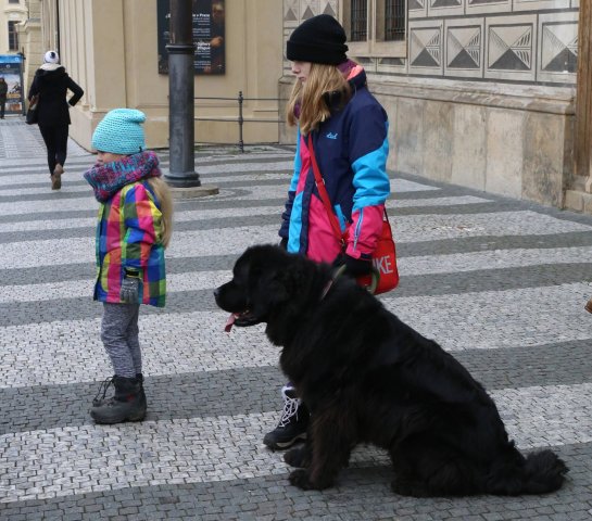 Předvánoční Prahou 2016