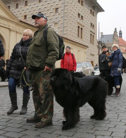 Předvánoční Prahou 2016