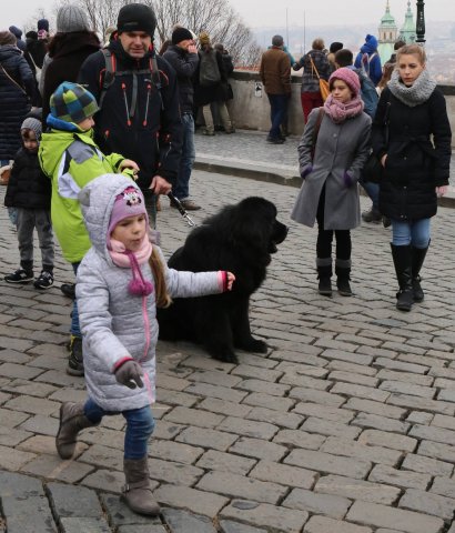 Předvánoční Prahou 2016