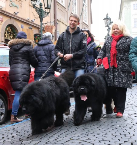 Předvánoční Prahou 2016