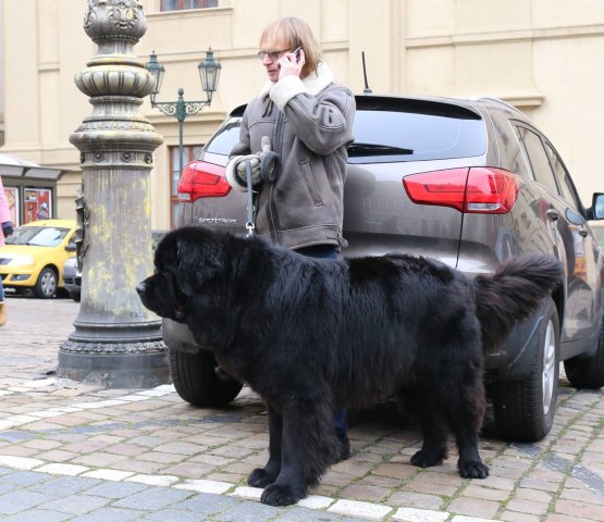 Předvánoční Prahou 2016