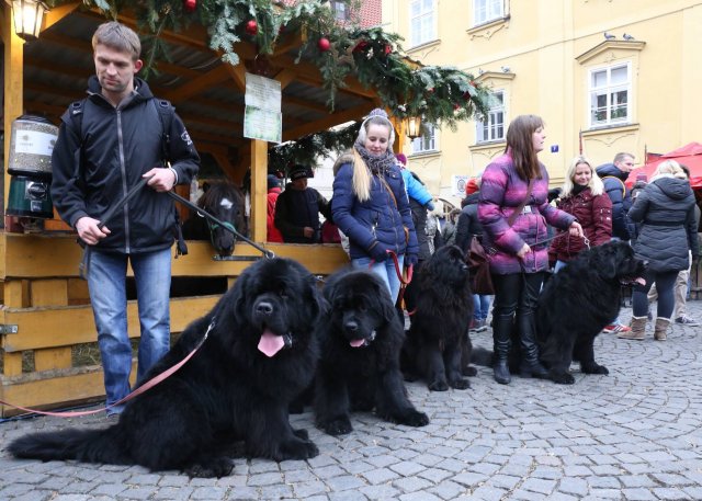 Předvánoční Prahou 2016