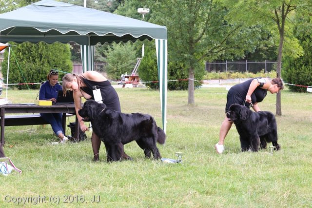 Džbán 2016 - Speciální výstava CAC 3.září 2016