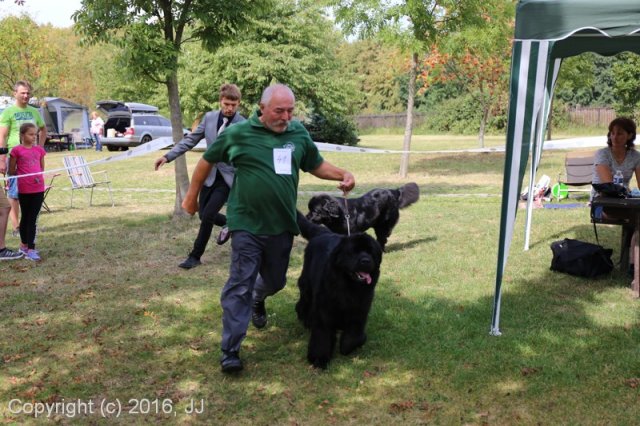 Džbán 2016 - Speciální výstava CAC 3.září 2016