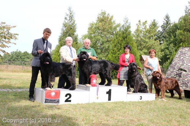 Džbán 2016 - Speciální výstava CAC 3.září 2016