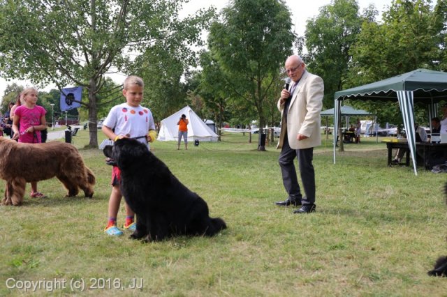 Džbán 2016 - Speciální výstava CAC 3.září 2016