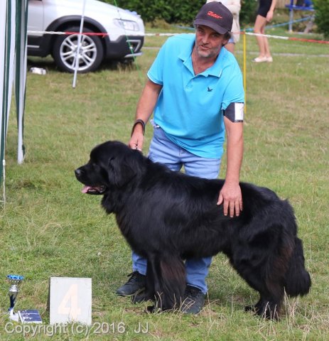 Džbán 4.9.2016 - Klubová výstava CAC