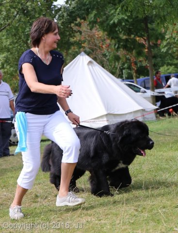 Džbán 4.9.2016 - Klubová výstava CAC