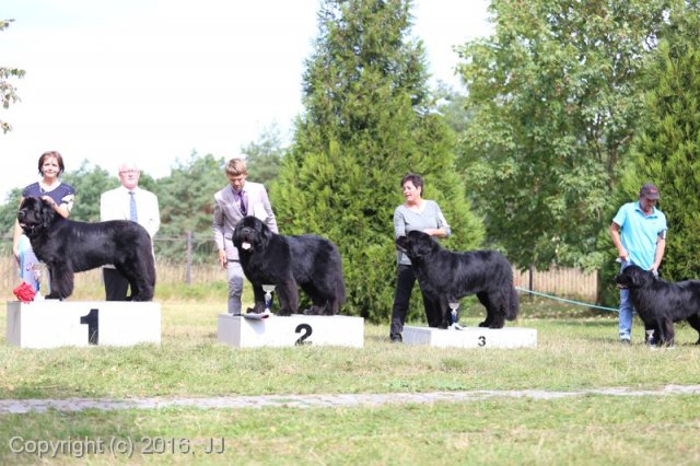 Džbán 4.9.2016 - Klubová výstava CAC